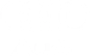 audi-removebg-preview